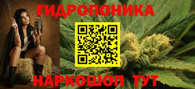СК Кимры