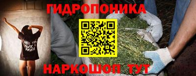 твердый Кингисепп