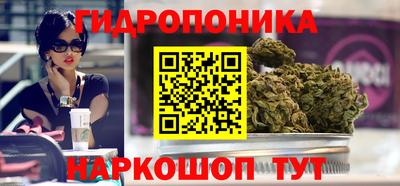 СК Кимры