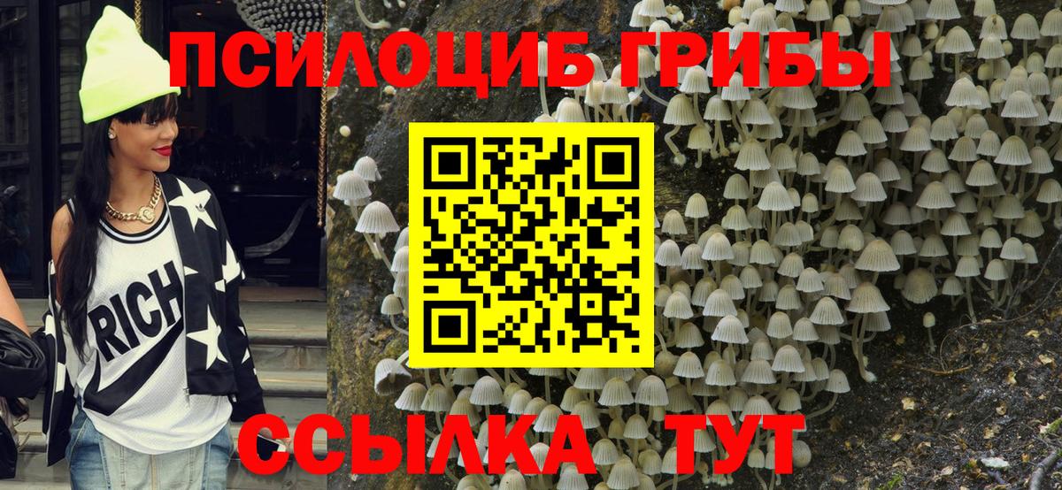 Галлюциногенные грибы Psilocybine cubensis Керчь