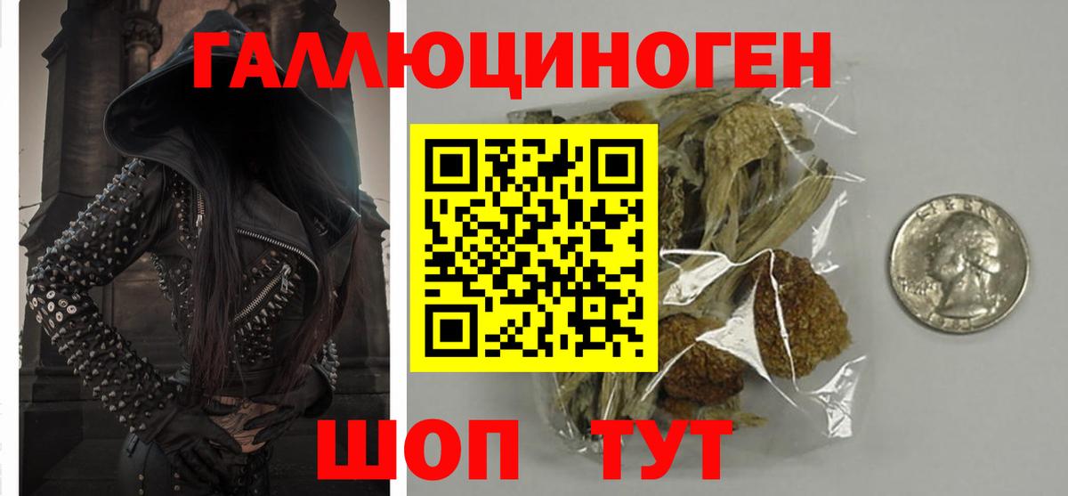 Керчь  Галлюциногенные грибы MAGIC MUSHROOMS  Вход с VPN  Галлюциногенные грибы мицелий 
